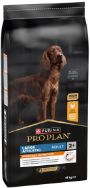 Attēls PRO PLAN LARGE ATLETIC NUTRITION sausā barība sunim ar vistas gaļu 14kg