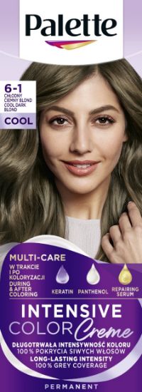 Picture of PALETTE ICC matu krāsa 6-1 Vēsi tumši blonds